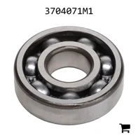 AGCO 3704071M1 Шариковый подшипник