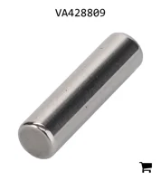 AGCO VA428809 Ролик