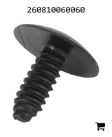 AGCO 260810060060 Пластиковый винт