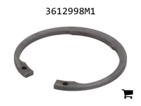 AGCO 3612998M1 Кольцо