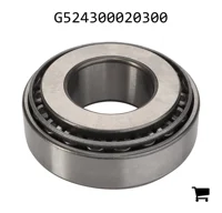 AGCO G524300020300 Конический роликовый подшипник