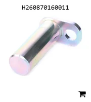 AGCO H260870160011 Болт