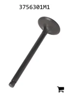 AGCO 3756301M1 Впускной клапан