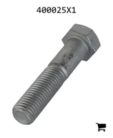 AGCO 400025X1 Винт с шестигранной головкой