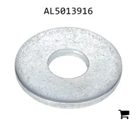 AGCO AL5013916 Шайба