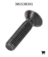 AGCO 3015303X1 Винт с плоской головкой под шестигранник