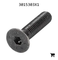 AGCO 3015303X1 Винт с плоской головкой под шестигранник