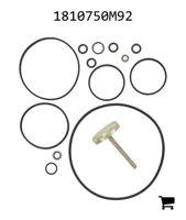 AGCO 1810750M92 Комплект
