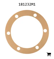 AGCO 181232M1 Прокладка