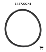 AGCO 1447207M1 Уплотнительное кольцо
