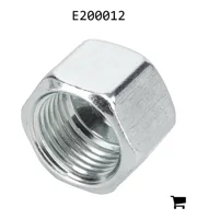 AGCO E200012 Гайка