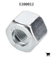 AGCO E200012 Гайка