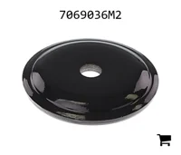 AGCO 7069036M2 Шайба