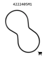 AGCO 4222405M1 Уплотнительное кольцо