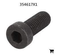 AGCO 354617X1 Болт
