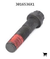 AGCO 3016536X1 Винт с 12-гранной фланцевой головкой