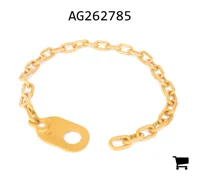 AGCO AG262785 Цепь AGCO Parts