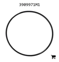 AGCO 3909971M1 Уплотнительное кольцо