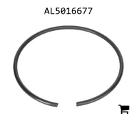 AGCO AL5016677 Кольцо