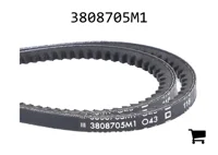 AGCO 3808705M1 Ремень клиновой, продается парой