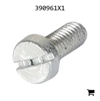 AGCO 390961X1 Винт