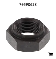 AGCO 70590628 Шестигранная стопорная гайка
