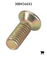 AGCO 3004566X1 Винт с овальной головкой