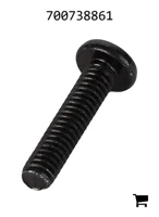 AGCO 700738861 Винт с крестообразным шлицем