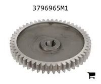 AGCO 3796965M1 Шестерня гидронасоса