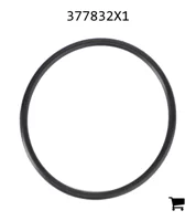 AGCO 377832X1 Уплотнительное кольцо гидроподъемника системы регулировки тяги