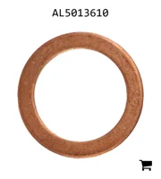 AGCO AL5013610 Шайба