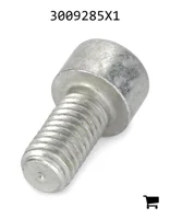 AGCO 3009285X1 Винт с внутренним шестигранником