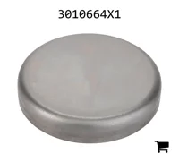 AGCO 3010664X1 Заглушка