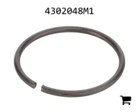 AGCO 4302048M1 Кольцо