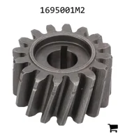 AGCO 1695001M2 Шестерня