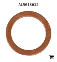 AGCO AL5013612 Шайба