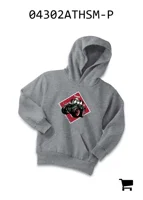 AGCO 04302ATHSM-P Толстовка Fendt для подростков