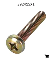 AGCO 392415X1 Винт с полукруглой головкой