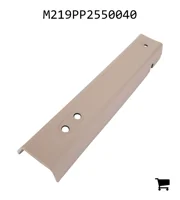 AGCO M219PP2550040 Панель отделки