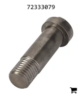 AGCO 72333079 Болт