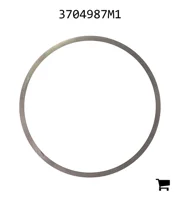 AGCO 3704987M1 Шайба