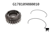 AGCO G178109080010 Цилиндрическая шестерня