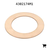 AGCO 4302174M1 Шайба