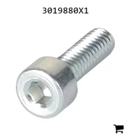 AGCO 3019880X1 Винт с цилиндрической головкой и шестигранным углублением