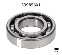 AGCO 339856X1 Шариковый подшипник AGCO