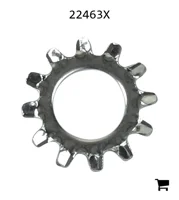 AGCO 22463X Зубчатая шайба