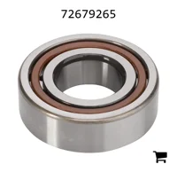 AGCO 72679265 Цилиндрический роликовый подшипник