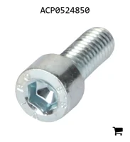 AGCO ACP0524850 Винт