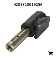 AGCO H205810010250 Петля