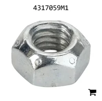 AGCO 4317059M1 Стопорная гайка